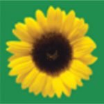 Hidden Disabilities - The Sunflower Lanyard Scheme