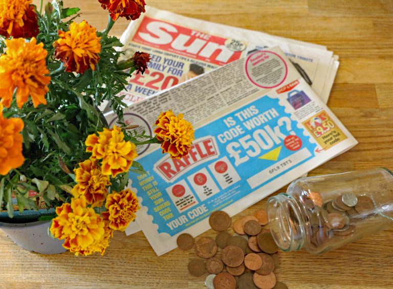 Plants, Loose Change and Newspapers Generate Over £ 900 for Headway North Cumbria